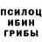 Псилоцибиновые грибы GOLDEN TEACHER Mustafa VARAL
