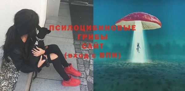 трава Алзамай