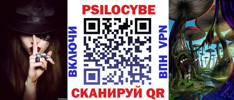 где можно купить наркотик  Елабуга  Псилоцибиновые грибы Psilocybine cubensis 